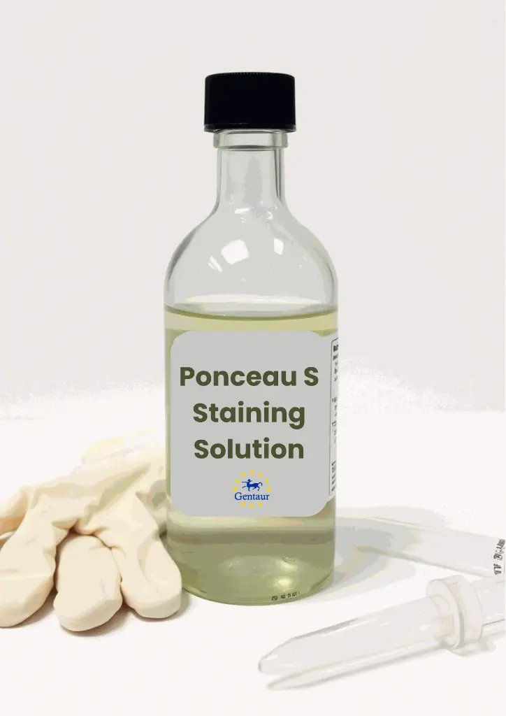 Ponceau S Protein Staining Solution