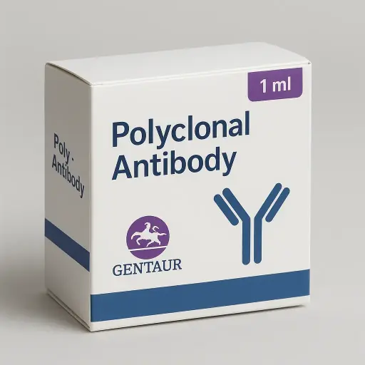 (KO Validated) POR Polyclonal Antibody