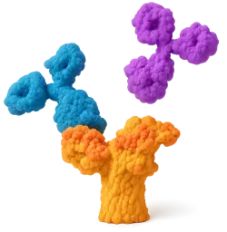  405-conjugated Goat anti-Rabbit IgG (H+L) (100 μl)