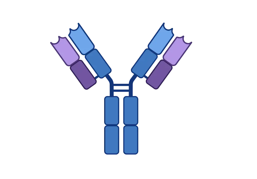 [DF4064] ALDOB Antibody   